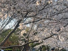 -复旦大学本部-食堂