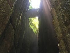 -梦幻奥陶纪景区