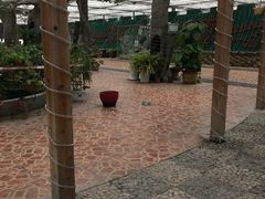 -万源龙顺度假庄园生态观光园