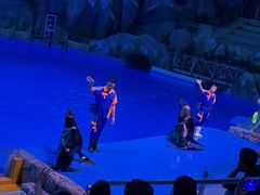 -芜湖新华联大白鲸海洋公园