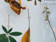 -瑞光创意工厂