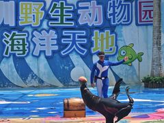 -深圳野生动物园