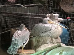-zoonana室内动物园(东方福来德店)