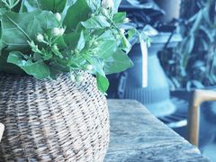 -翠田Green Field Kitchen