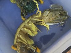 -拉威海鲜市场