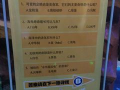 -芜湖新华联大白鲸海洋公园