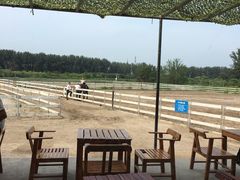 -月河湾马术俱乐部(朝阳店)