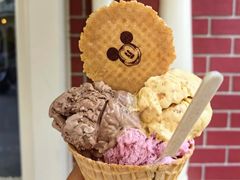 -巴黎迪士尼乐园