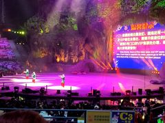 -广州长隆国际大马戏
