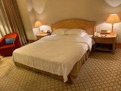 -南京维景国际大酒店(南京博物院店)