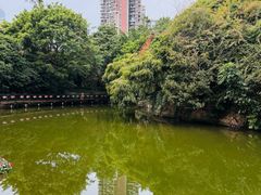 -月亮湾公园
