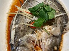 -小六汤包·老字号·中华名小吃(公园南路店)