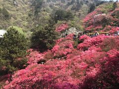 -木兰云雾山