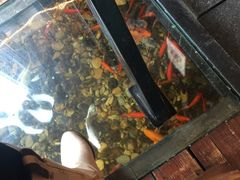 -颐和•海鲜砂锅粥•啫啫煲(奥林匹克广场店)