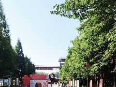 -泗洪洪泽湖湿地景区
