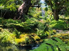 -Chom Cafe and Restaurant