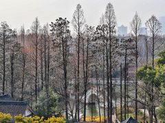-南京城墙景区