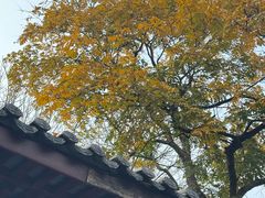 -韬光茶庵