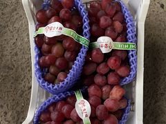 -马陆小张葡萄园农家乐