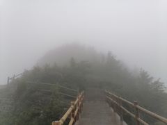 -牛背梁国家森林公园