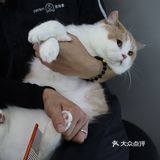深圳新晋萌宠乐园？！今日小可爱萌度加倍！