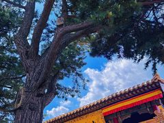 -五台山风景名胜区