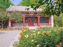 -西海子公园