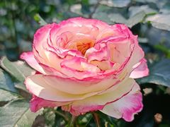 -人民公园(罗湖区)