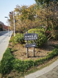 -剑鱼皮划艇俱乐部(石湖基地)
