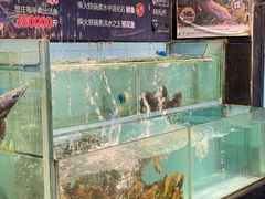 -贺庄·活鱼馆(珠吉路店)