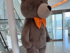 -济州岛泰迪熊博物馆