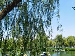 -承德避暑山庄景区