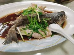 清蒸海鲈鱼-成惠食府(赤岗店)