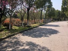 -南湖湿地公园