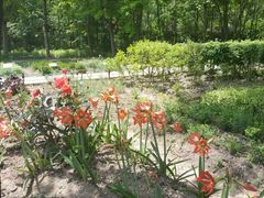 -昆山城市生态森林公园