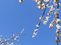 -广州市流溪河国家森林公园