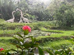 -呀诺达热带雨林