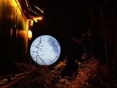 -巴倒烫陆派重庆火锅(南山店)