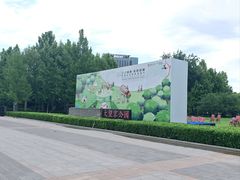 -大望京公园