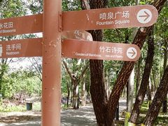 -大兴滨河森林公园