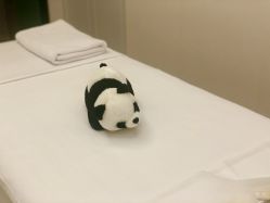 -美丽田园Beauty Farm