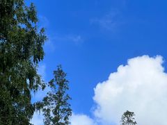 -同济大学(沪西校区)