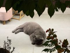 -乾州古城