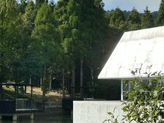 -玉苍山国家森林公园