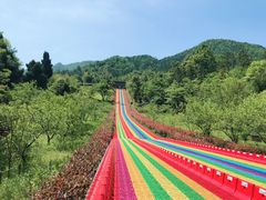 -千岛湖石林