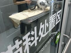 -谐和益家动物医院·免疫绝育·血液透析·宠保定点医院(高新伊藤分院)