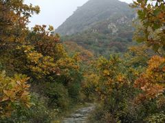 -阳台山自然风景区