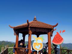 -大岭沟猕猴桃谷风景区