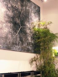 -Hair  Gallery