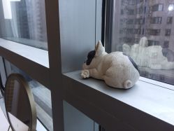 -樱木町·日式头皮管理中心